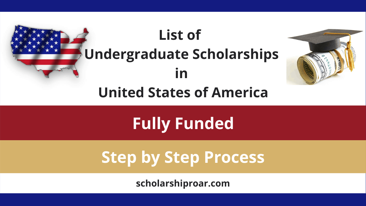 Scholarships for Undergraduate Students